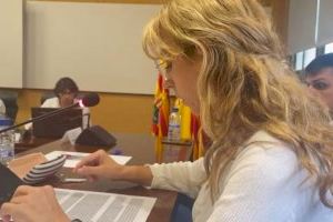 El PSPV de Benicàssim demana que els contribuents no paguen amb la pujada de l'IBI "els errors urbanístics del PP del 'boom' immobiliari"