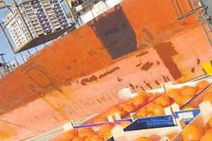 LA UNIÓ pide a Luis Planas que exija ante la UE una uniformidad de los criterios inspectores de los productos agroalimentarios importados LA UNIÓ pide a Luis Planas que exija ante la UE una uniformidad de los criterios inspectores de los productos agroalimentarios importados