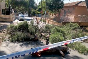 Torrent agradece a los servicios municipales y de emergencias su labor frente a los efectos de las fuertes rachas de viento