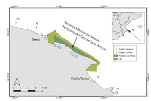 La UA confirma que la creación de reservas marinas aumenta la presencia de peces - (foto 3) La UA confirma que la creación de reservas marinas aumenta la presencia de peces - (foto 3)