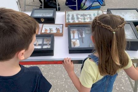 Los riesgos de la IA y el cambio climático, a debate en la 12ª Semana de la Ciencia organizada por Quart és Ciència