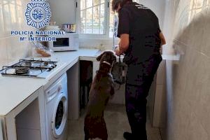 Cop al tràfic de droga a les Casetes Roses de València: sis detinguts i dos punts de venda desmantellats - (foto 2)