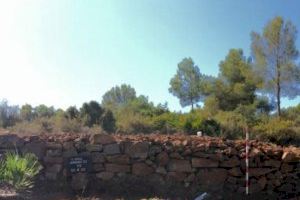 Acaben les obres de la IV fase de la restauració del Conjunt Memorial de darrere del Castell d'Almenara - (foto 2)