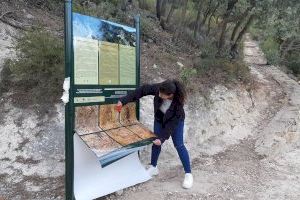 El Museu Arquelògic lleva a cabo diversas iniciativas