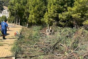L'Ajuntament executa accions contra incendis a Alhama Spring, Serra d'Altea I, Serra d'Altea Golf, Mascarat, La Mallà i Illa d'Altea