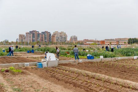 El Ayuntamiento de Mislata abre el proceso de inscripción a los huertos urbanos