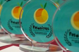 Festival de Curtmetratges Fesohcurt de Nules: aquests son els guanyadors de la 6a edició