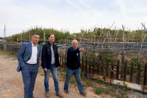 Burriana aconsegueix acabar amb la llista d'espera de dos anys en els horts d'oci - (foto 2)