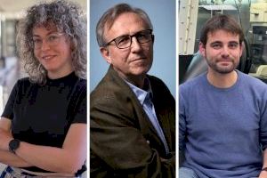 Nou twist al grafé mitjançant el desenvolupament de materials magnètics bidimensionals amb propietats ‘a la carta’