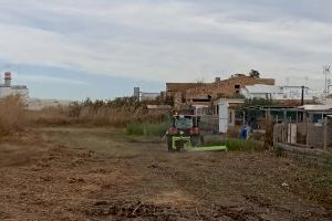 El Consell Agrari finalitza les actuacions de neteja i desbrossament de la faixa perimetral del Grau Vell El Consell Agrari finalitza les actuacions de neteja i desbrossament de la faixa perimetral del Grau Vell