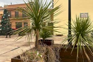Vecinos de Mascarell denuncian el abandono de la jardinería y reclaman inversión y conservación