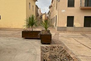 Vecinos de Mascarell denuncian el abandono de la jardinería y reclaman inversión y conservación - (foto 3) Vecinos de Mascarell denuncian el abandono de la jardinería y reclaman inversión y conservación - (foto 3)