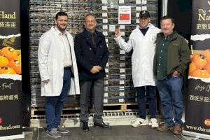 Una empresa de Albal será la primera en exportar caquis a China