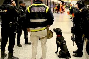 ¿Por qué había policías armados en una estación de metro de Valencia esta mañana? - (foto 3) ¿Por qué había policías armados en una estación de metro de Valencia esta mañana? - (foto 3)