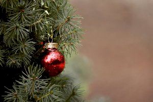 Planes para el día de Navidad: qué puedo hacer en la Comunitat Valenciana