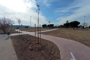 Gandia ultima noves millores als polígons Benet, Alcodar, Rajolar i La Vital gràcies a les ajudes de l'IVACE del 2023