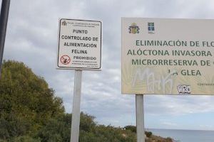 Sanidad instala carteles informativos sobre colonias felinas alimentadas por personal autorizado Sanidad instala carteles informativos sobre colonias felinas alimentadas por personal autorizado