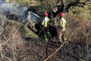 Es declara un incendi en un barranc de La Vall d'Uixó - (foto 4) Es declara un incendi en un barranc de La Vall d'Uixó - (foto 4)