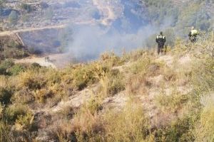 Es declara un incendi en un barranc de La Vall d'Uixó - (foto 3) Es declara un incendi en un barranc de La Vall d'Uixó - (foto 3)