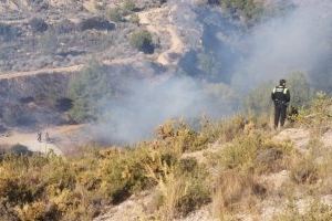 Es declara un incendi en un barranc de La Vall d'Uixó Es declara un incendi en un barranc de La Vall d'Uixó