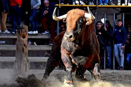 San Antonio enciende la temporada taurina 2024: localidades y horarios