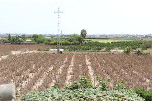 La Comunitat Valenciana bat el seu rècord històric de terres abandonades