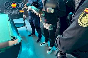 VÍDEO | Un bar d'Aspe amagava un recinte clandestí per a baralles de galls - (foto 8)