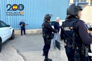 VÍDEO | Un bar d'Aspe amagava un recinte clandestí per a baralles de galls - (foto 3)