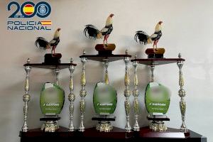 VÍDEO | Un bar d'Aspe amagava un recinte clandestí per a baralles de galls - (foto 4)