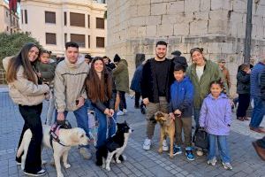 Benicarló gaudix de la festa de Sant Antoni, declarada d'interés turístic provincial
