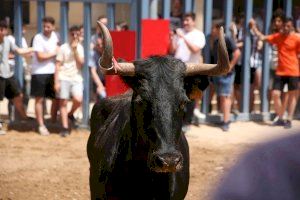 La federació valenciana de bous al carrer aprofita Fitur per a promoure a Madrid la defensa de la tauromàquia La federació valenciana de bous al carrer aprofita Fitur per a promoure a Madrid la defensa de la tauromàquia