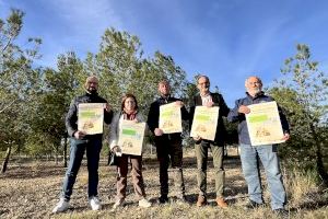 Petrer celebrará el Día del árbol el domingo 4 de febrero con la plantación de más de 700 plantones