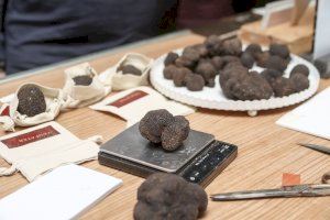 Andilla participa en el proyecto “Del Bosque a tu Casa” presentado en la inauguración de la V edición de FIVATRUF - (foto 8)