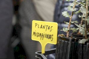 Andilla participa en el proyecto “Del Bosque a tu Casa” presentado en la inauguración de la V edición de FIVATRUF - (foto 9)