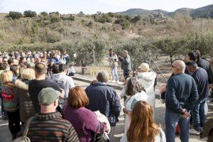 Andilla participa en el proyecto “Del Bosque a tu Casa” presentado en la inauguración de la V edición de FIVATRUF - (foto 13)