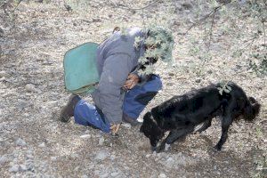 Andilla participa en el proyecto “Del Bosque a tu Casa” presentado en la inauguración de la V edición de FIVATRUF - (foto 14)