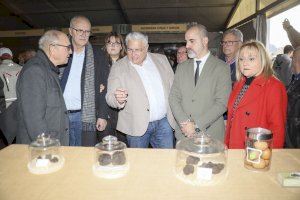 Andilla participa en el proyecto “Del Bosque a tu Casa” presentado en la inauguración de la V edición de FIVATRUF - (foto 3)