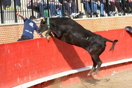Pascua Taurina de Onda: consulta las ganaderías y el calendario para la edición de 2024