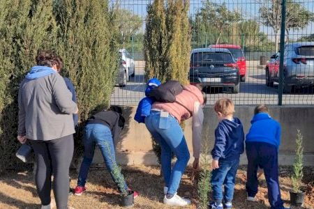 Manises planta más de 120 cipreses