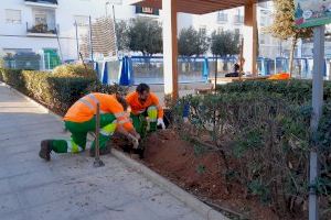 La Pública sigue mejorando los jardines de Altea
