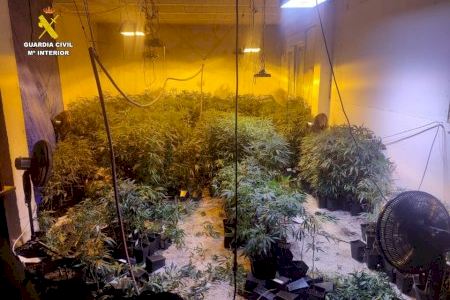 Localizadas casi mil plantas de marihuana en una vivienda en construcción de Altea