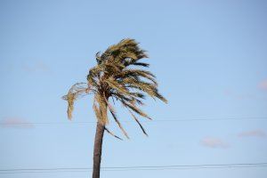 Viento de hasta 100 km/h, lluvia puntual y heladas este lunes en la Comunitat Valenciana