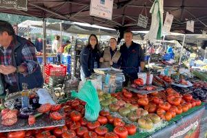 Alicante implanta la recogida de residuos orgánicos en los mercadillos con el despliegue del contenedor marrón
