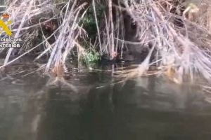 Troben mort a un pescador de 57 anys en un canyar de Benicolet (València) - (foto 2)