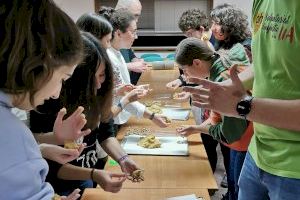 Nueva edición de los Talleres de Lenguas y Culturas de la UA, una formación de éxito que suma 17 ediciones en ocho años Nueva edición de los Talleres de Lenguas y Culturas de la UA, una formación de éxito que suma 17 ediciones en ocho años