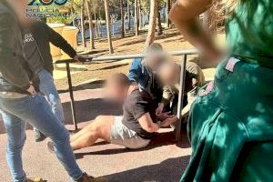 Violan a una mujer, la amordazan y la amenazan con una arma y una hacha: el peligroso fugitivo que se escondía en Benidorm