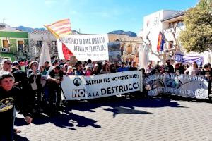 Unión por una causa: 3.000 vecinos salen a la calle en Llíber en una manifestación histórica en contra del macro-PAI - (foto 2)