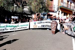 Unión por una causa: 3.000 vecinos salen a la calle en Llíber en una manifestación histórica en contra del macro-PAI - (foto 3)