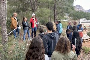 El Instituto La Nucía instala cajas nido para su estudio y seguimiento