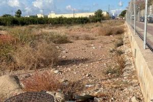 Burriana logra la cesión gratuita de la parcela para el nuevo parque canino